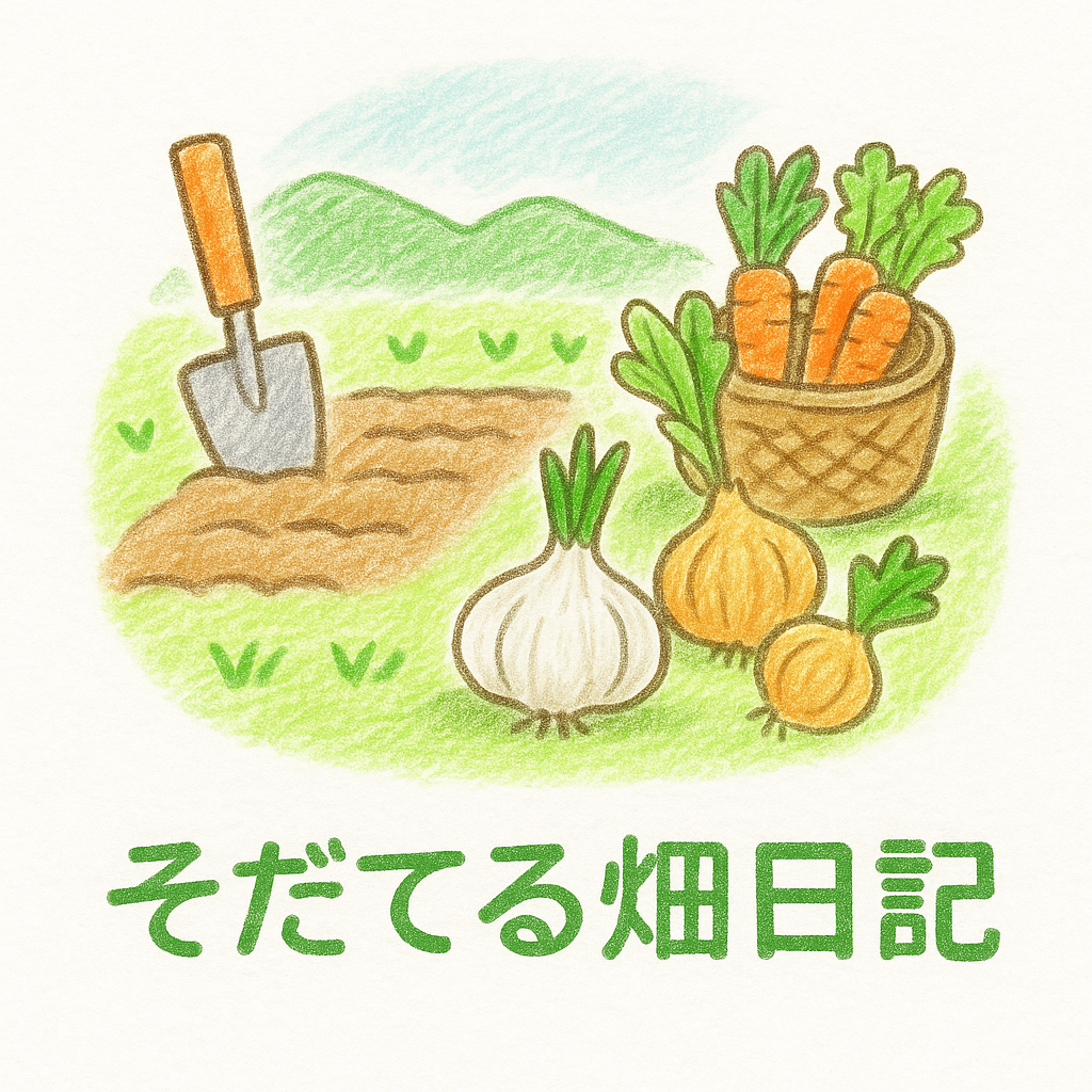 畑で育てた野菜栽培の記録や出荷・販売の様子。